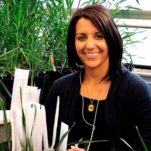 Maricelis Acevedo's session will examine the International Stem Rust Screening Nurseries.