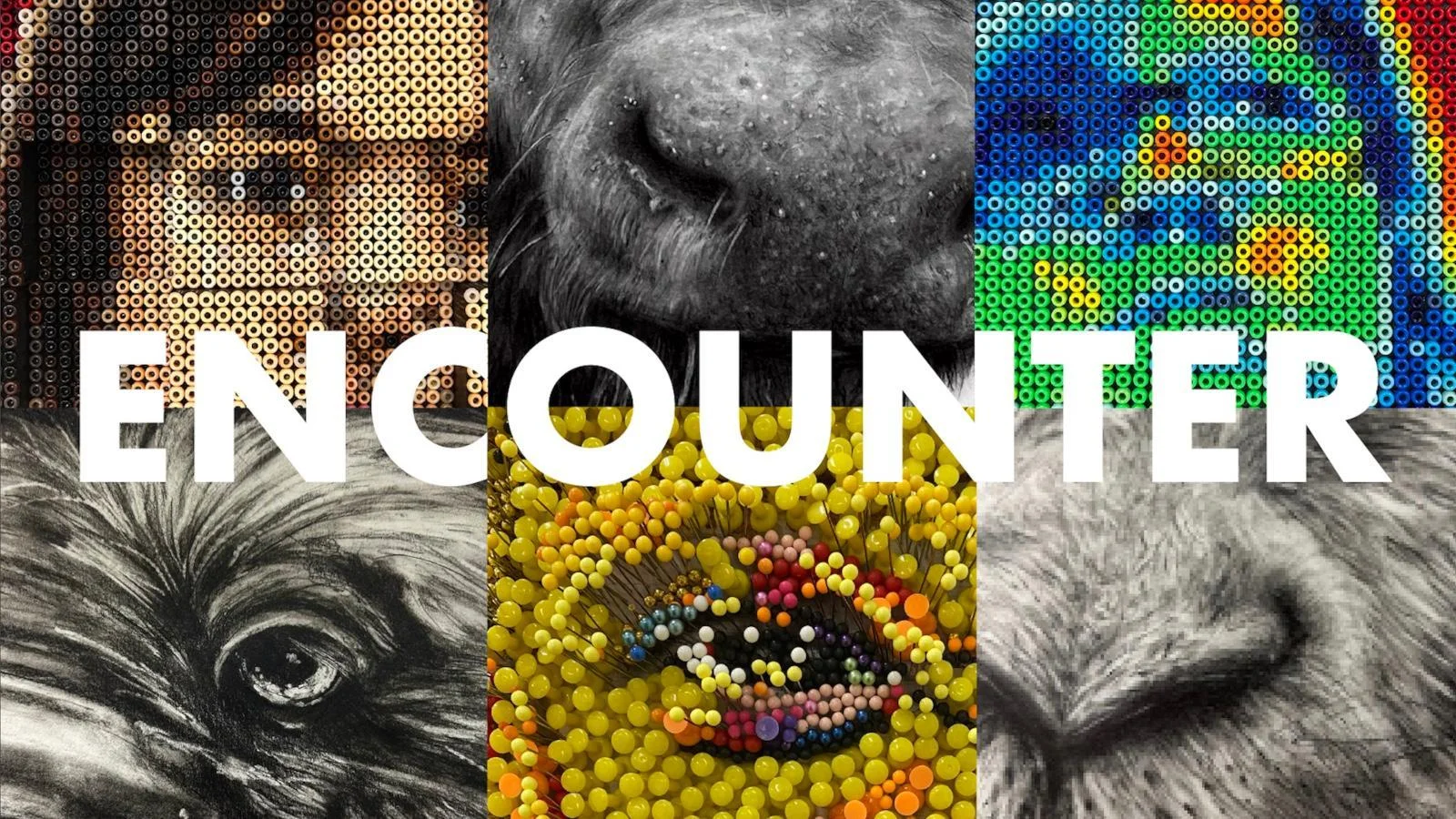 Webp mvnuencounter