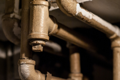 Medium rexbabieraflickr