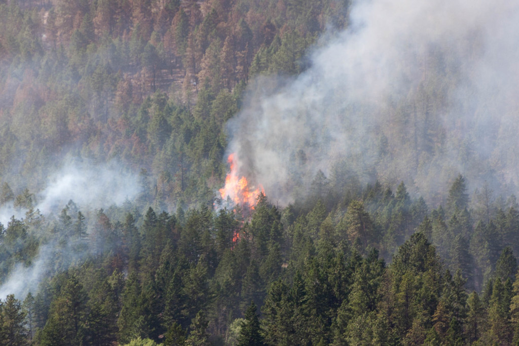 14710541261 18e766c6c2 b