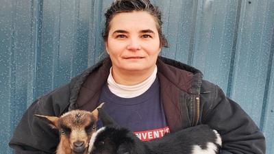 Medium goats