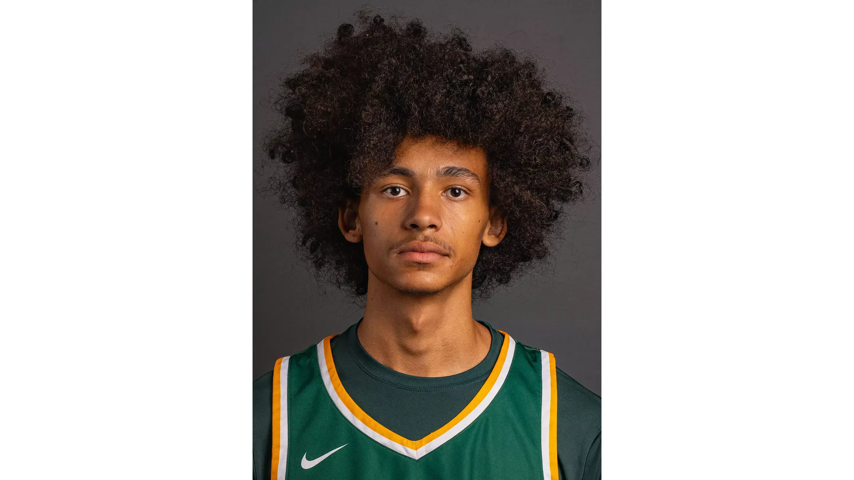 Webp d33bd8d6 4a03 458b 87ba 8a75a77c5e6c