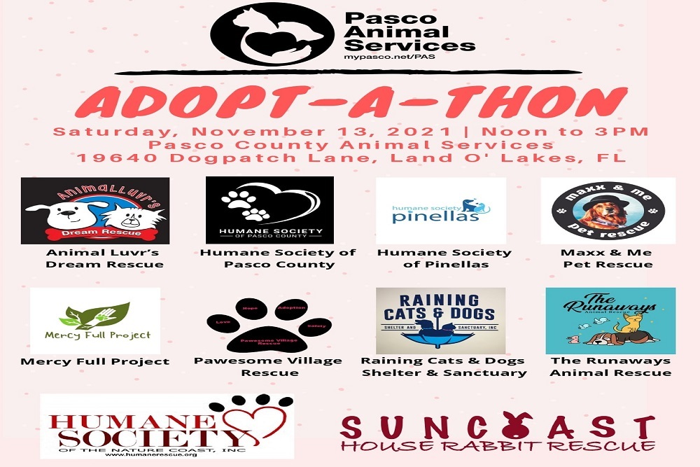 251952856 4422933461117594 1044110406560453016 n