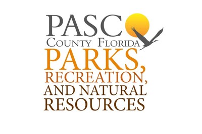 Medium 242801829 226915529478254 3663744412884056972 n