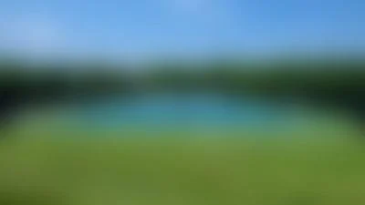Medium sps83muidhjer4rqn7xlnwg99ost