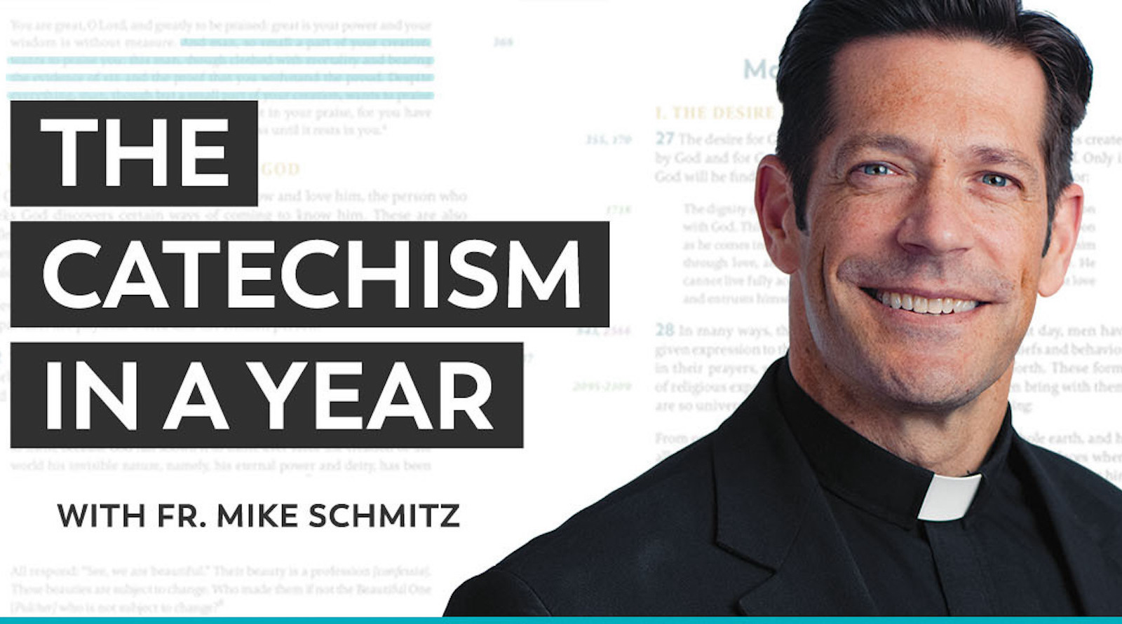 Fr mike schmitz catechism in a year