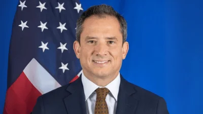 Medium palladino