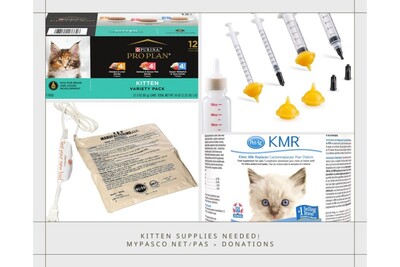 Medium 280133572 5008619695882298 6414068812410384255 n