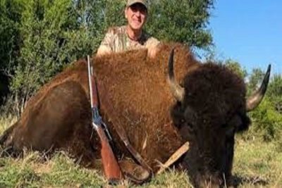 Medium buffalohunt