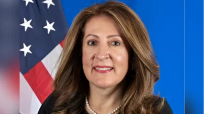 Medium 2tsnn6p8gh2yj8kd963ro4synxa5