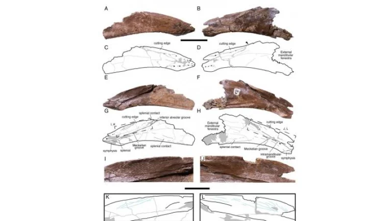 New Mexico museum aids dinosaur discovery expanding known range