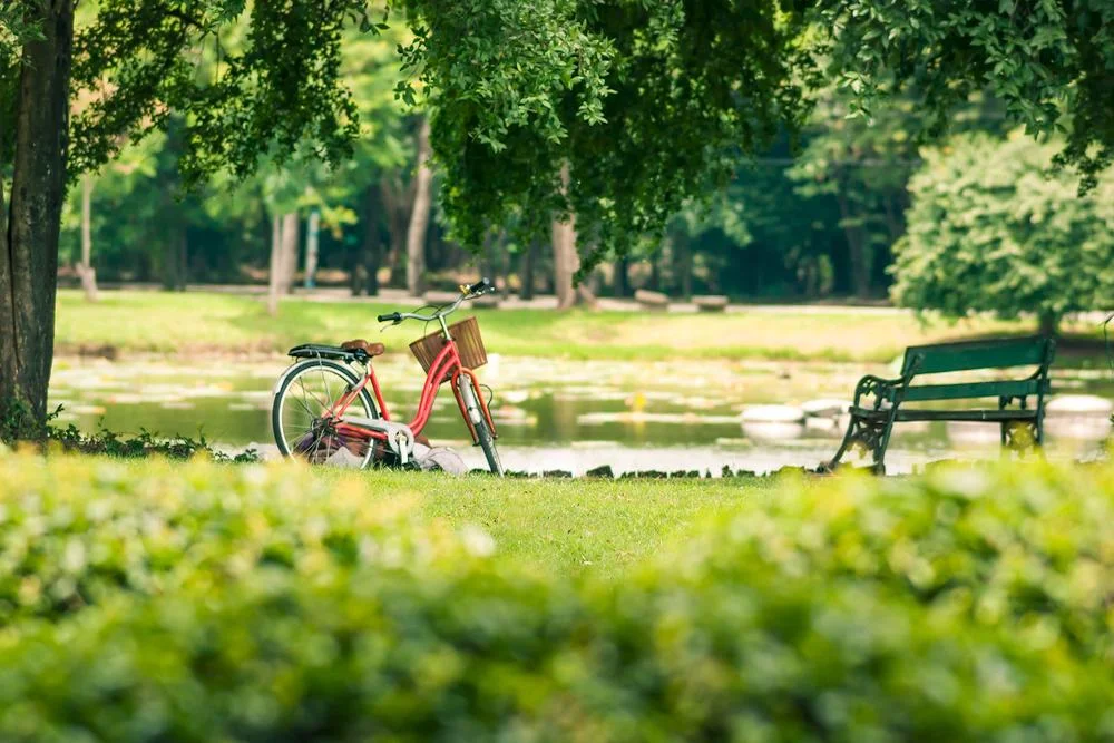 Webp park 04