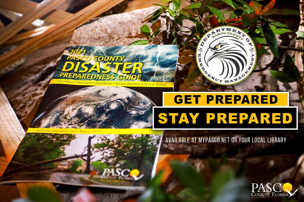 228713955 4139536289417140 3606961938444514120 n