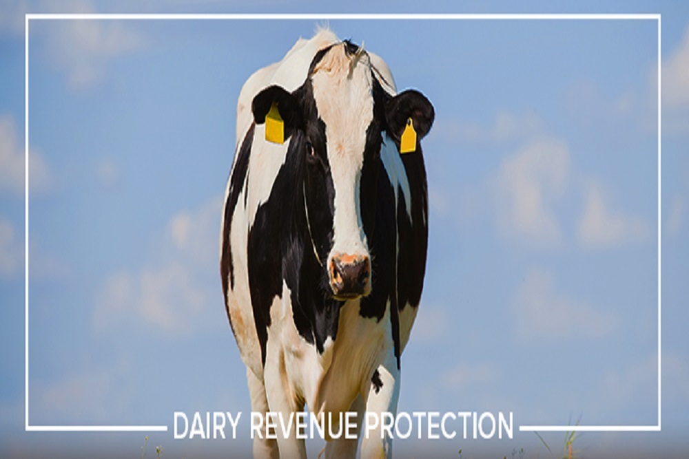 CGB INSURANCE COMPANY Dairy Revenue Protection Farm Insurance News