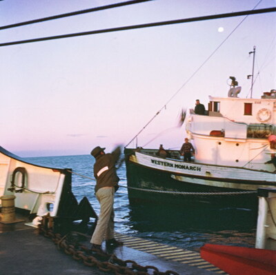 Medium 5407881485 6c9845c275 b