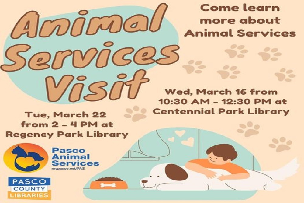 275233460 4844578598953076 3810449937462274898 n