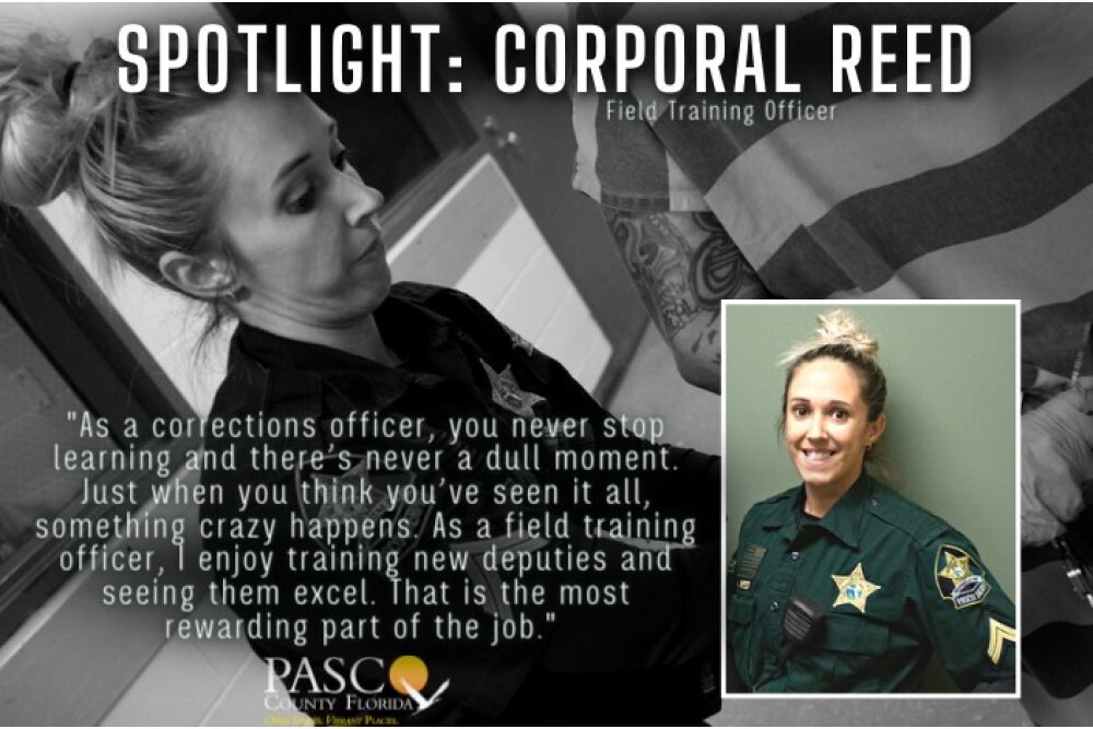 294865996 375203404788062 8891516445637105796 n