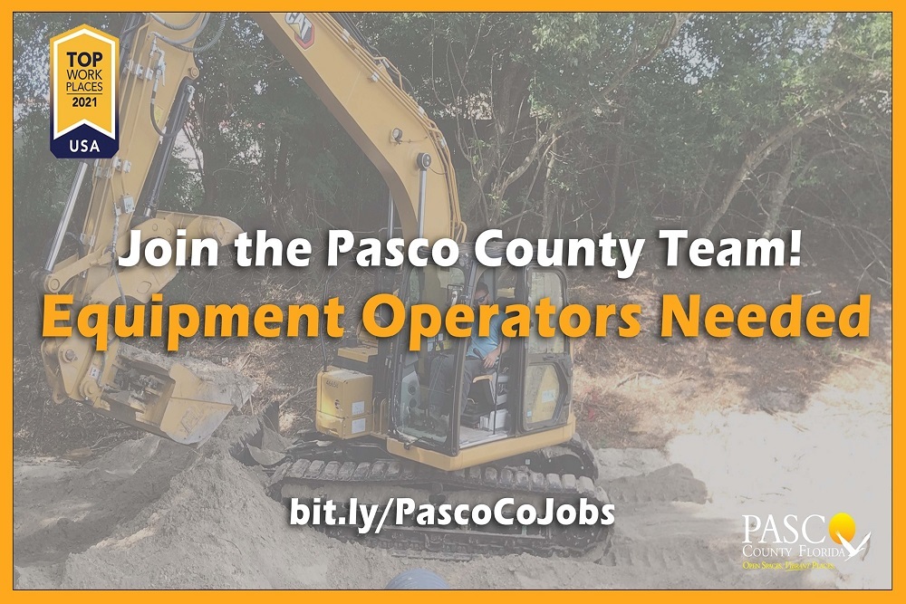 247723907 202432062065198 5003149231020440225 n