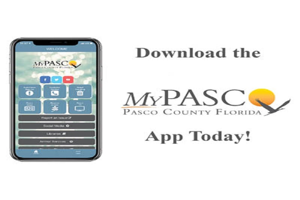 241528995 4213672505336851 7754859779609738819 n