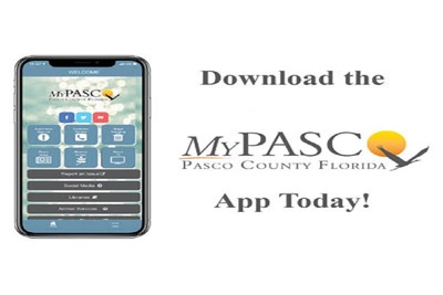 Medium 241528995 4213672505336851 7754859779609738819 n