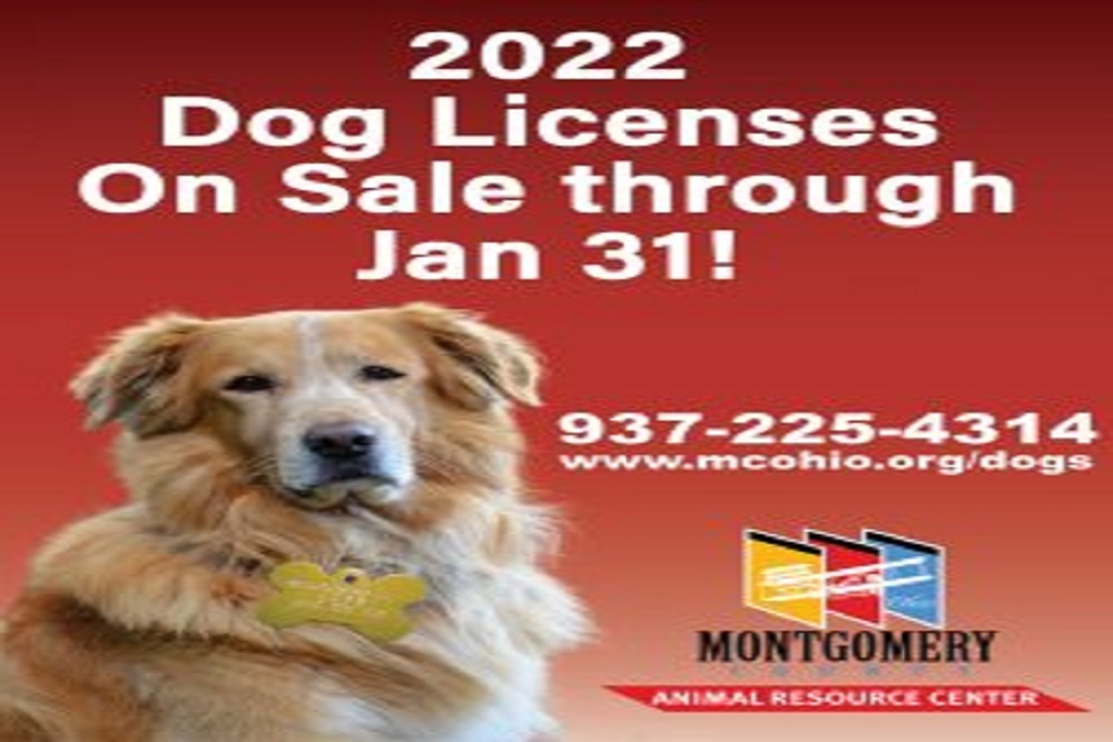 2022 dog license p 1 252x300