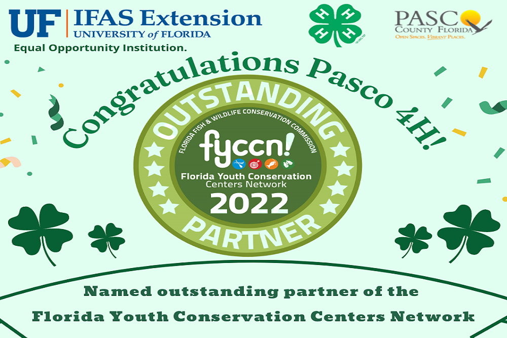 274716904 4938614962894525 7931286556619650259 n