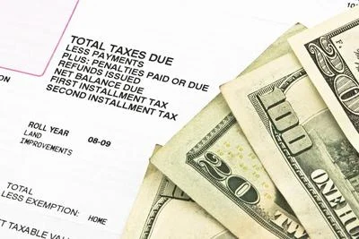 Medium latetaxes4