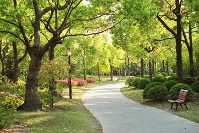 Medium park 01