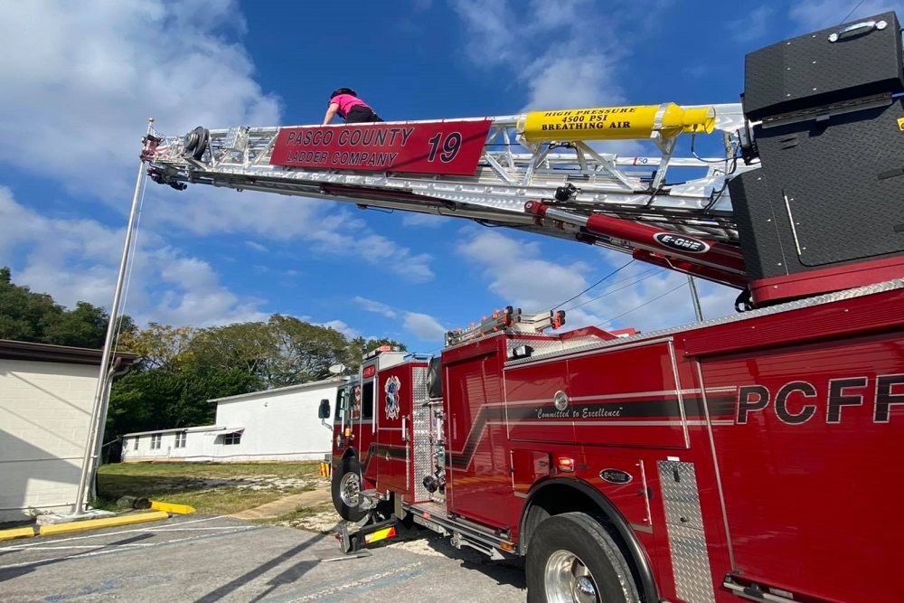 247900062 171113291878678 6895066737416075665 n