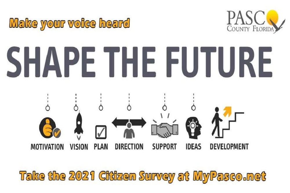 265079613 219077410400663 5713573810182683402 n