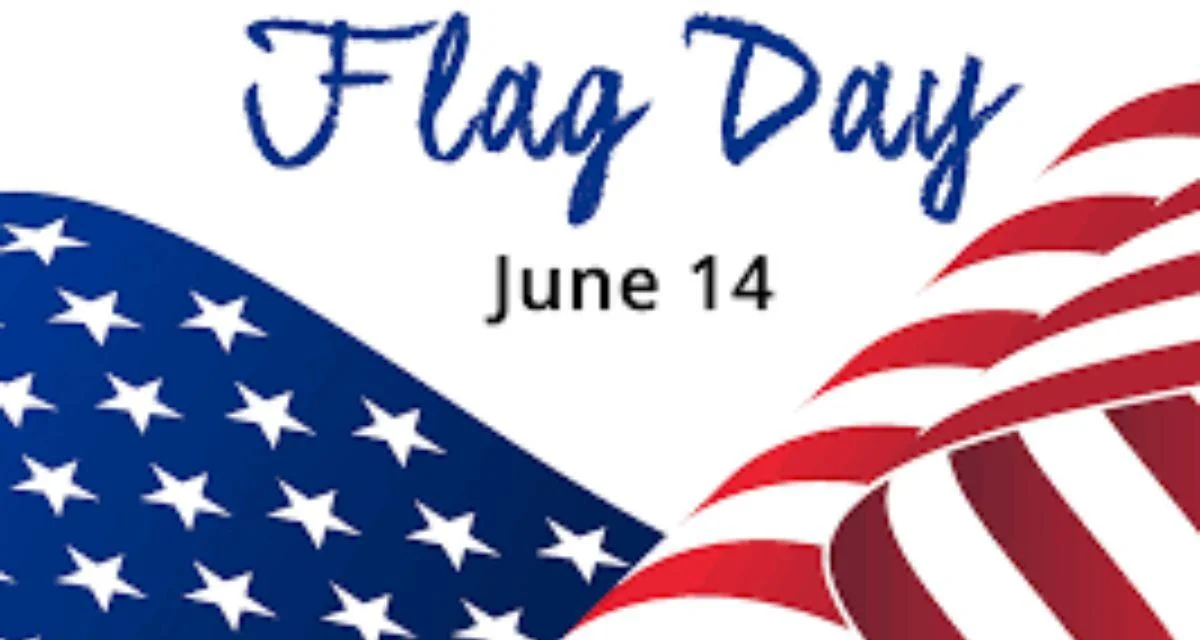 Flag Retirement Drop Box Unveiling | Business Daily