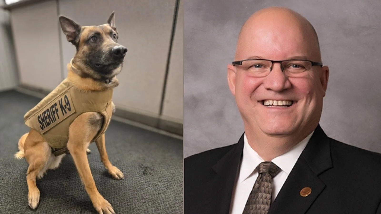 Webp policeanddog