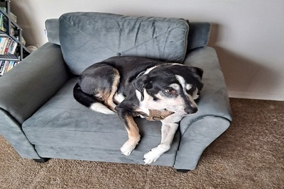 Medium 274049247 4796059437138326 4717214562719998694 n