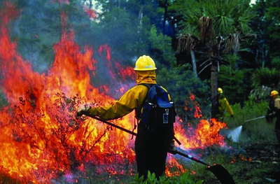 Medium 8776263884 d4860997de z