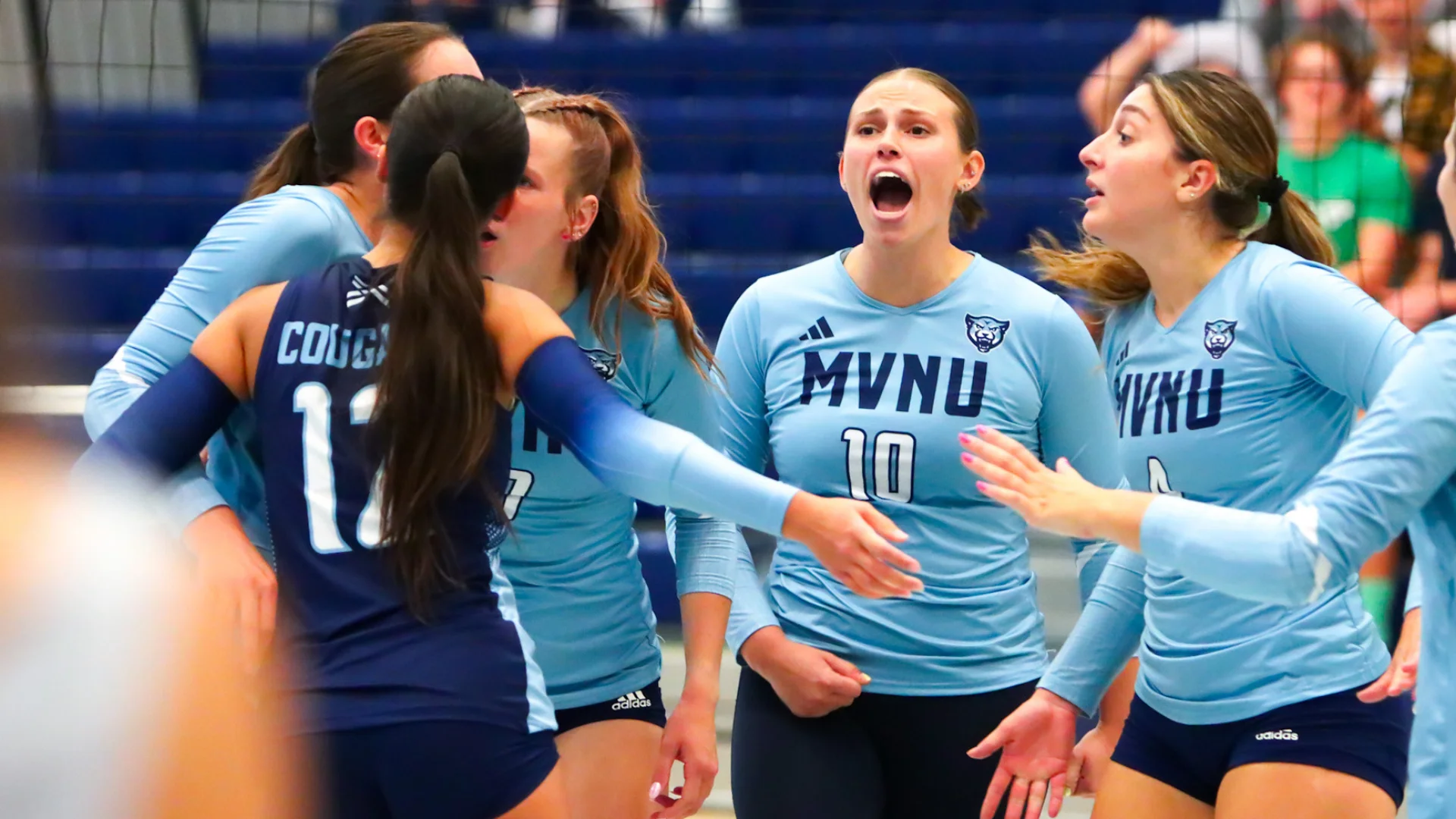 Webp volleyball
