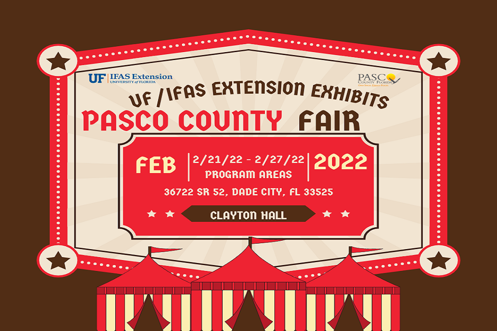 274227920 4919677801454908 2760951139568316785 n