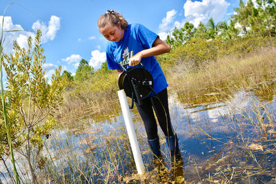 Medium morejon cayo costa 640