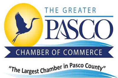 Medium 66649743 719964405099940 4912383396149198848 n