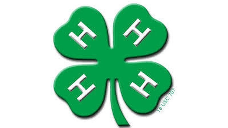 4h