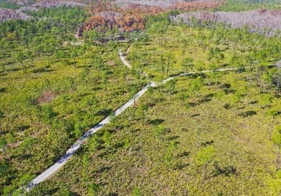 Medium 324341723 512041731062483 2733780008449814903 n