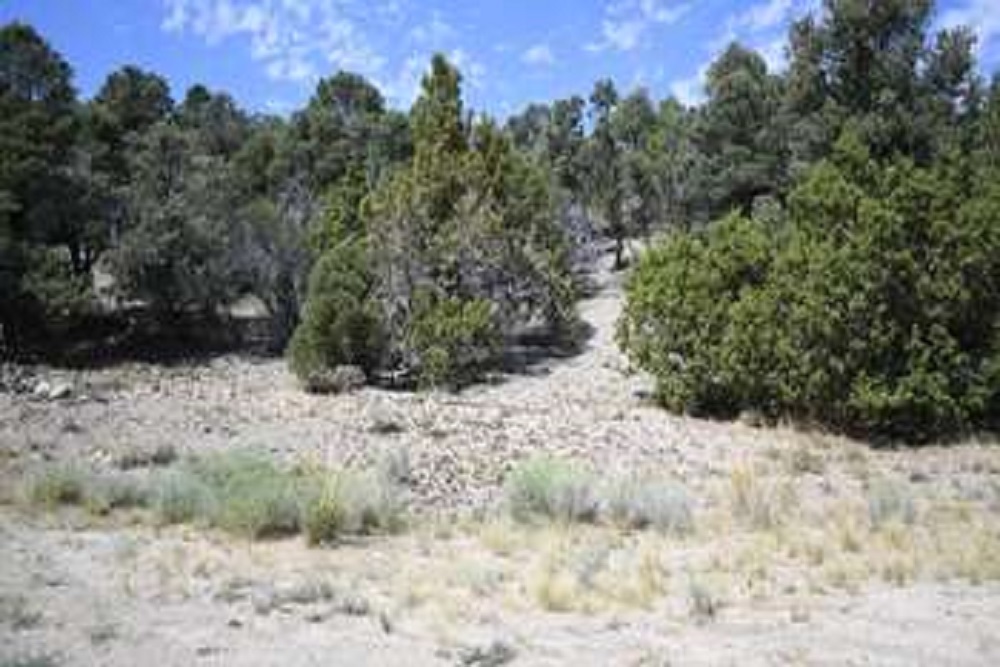 BLM seeks comments on direct sale of 0.66 acres in White Pine County, Nevada