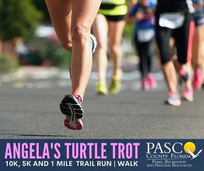 Medium 334499799 931961521293610 8945174024531599415 n