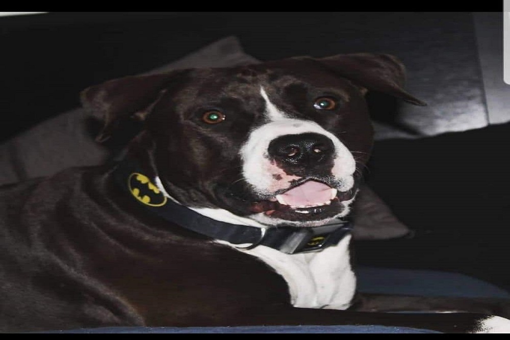 272190222 4701099243301013 486155435225028158 n