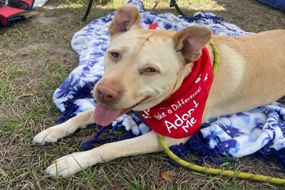 Medium 275228681 4847579991986270 1362586100417231197 n