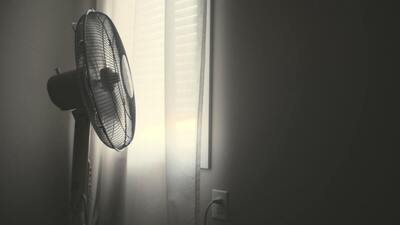 Medium fan