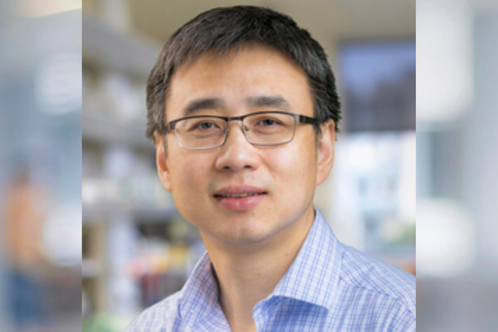 Team IDs Mechanism Underlying Rare Children’s Blood Cancer | Current ...