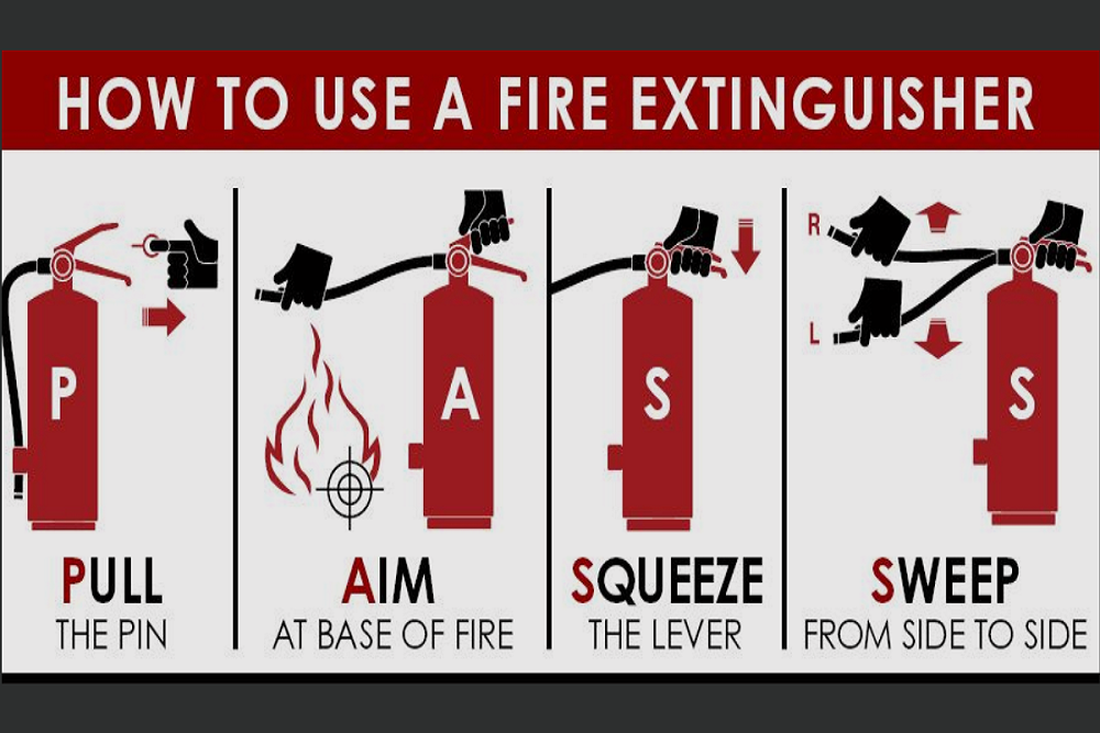 240726710 1926197937542532 6423158978233968452 n