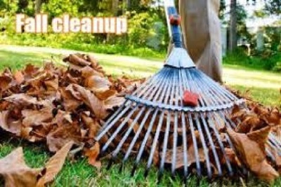 Medium fallcleanup