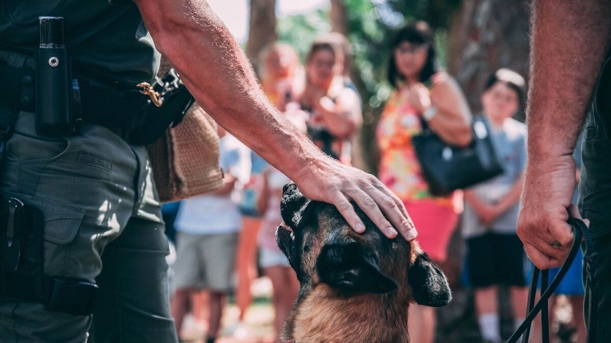 Webp jason jarrach eokss yfkwe unsplash