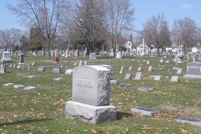 Medium 8